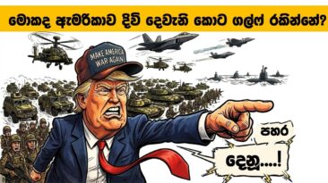 තෙල් හින්දා නෙමෙයි ඇමෙරිකාව ගහ ගන්නේ, ඊට වඩා බොහොම භයානක දෙයක් නිසා